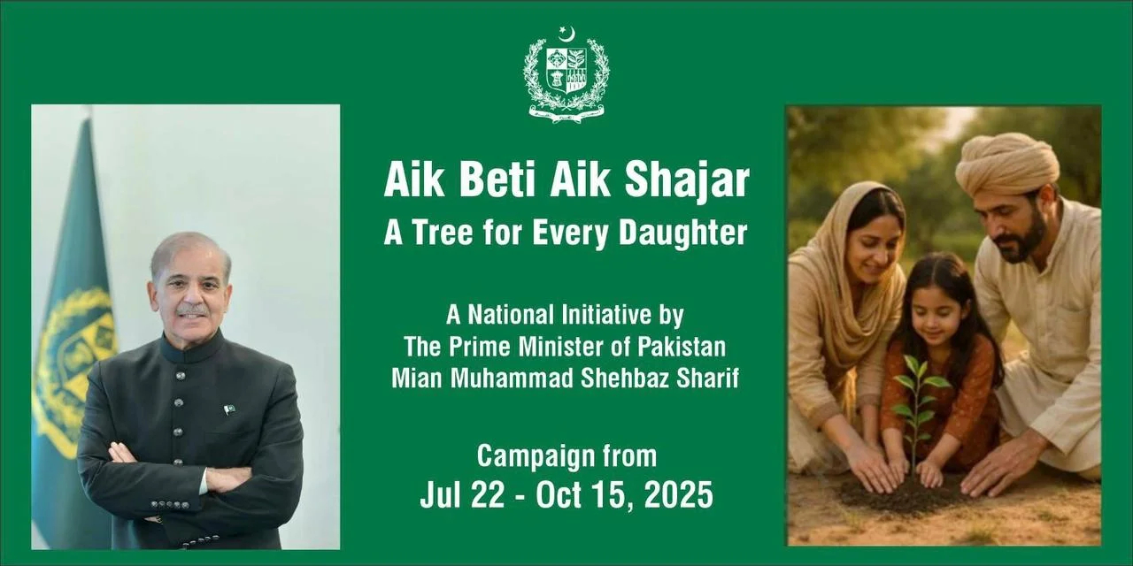 Monsoon Tree Plantation